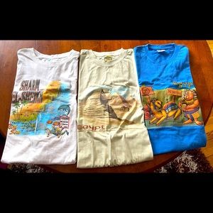 3 shirts made in Egypt